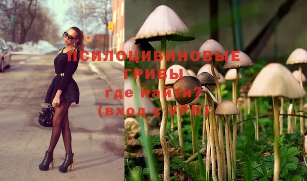 индика Зерноград