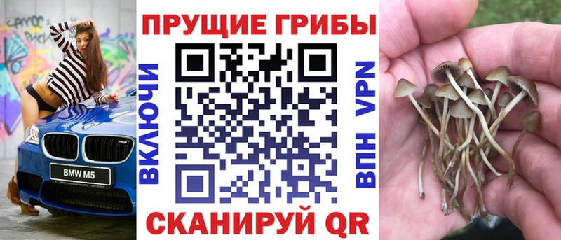 Псилоцибиновые грибы прущие грибы  Зеленодольск 