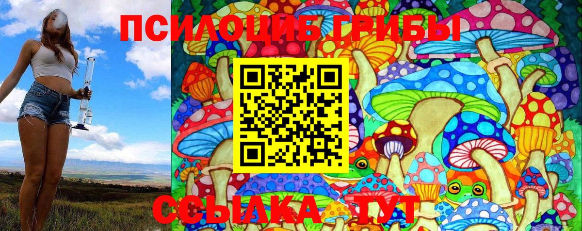 Галлюциногенные грибы Magic Shrooms Зеленодольск