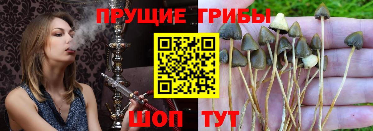 Зеленодольск  Галлюциногенные грибы Magic Shrooms  Псилоцибиновые грибы ЛСД  Вход с VPN 